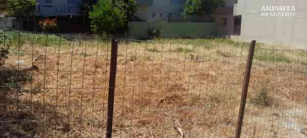 εικόνα_Viber_2025-07-09_11-56-48-110.jpg